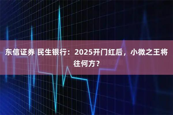 东信证券 民生银行：2025开门红后，小微之王将往何方？