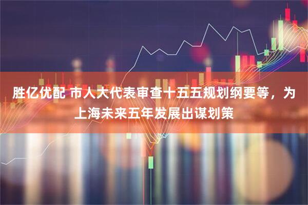 胜亿优配 市人大代表审查十五五规划纲要等，为上海未来五年发展出谋划策