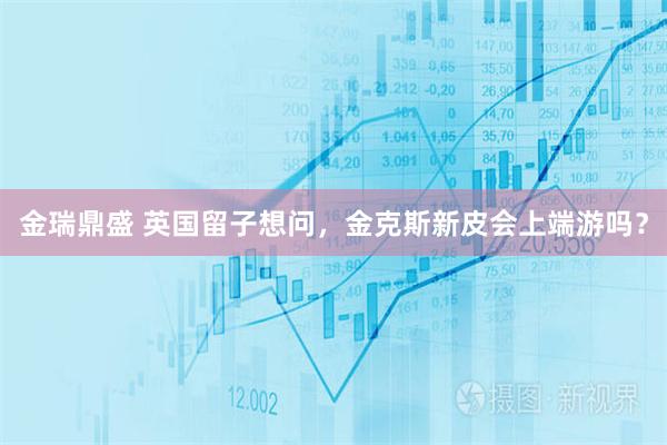 金瑞鼎盛 英国留子想问，金克斯新皮会上端游吗？