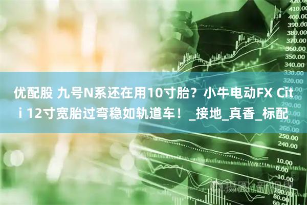 优配股 九号N系还在用10寸胎？小牛电动FX Citi 12寸宽胎过弯稳如轨道车！_接地_真香_标配